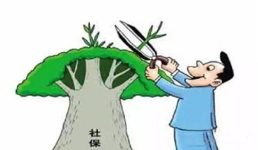 关于“社保缴纳”四大问题你得知道 第1张